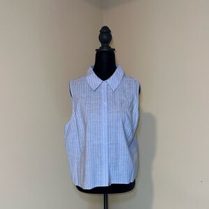 EXPRESS Linen-blend Pinstripe Sleeveless Button Up Shirt